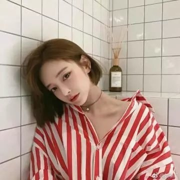 花与爱丽丝 海报